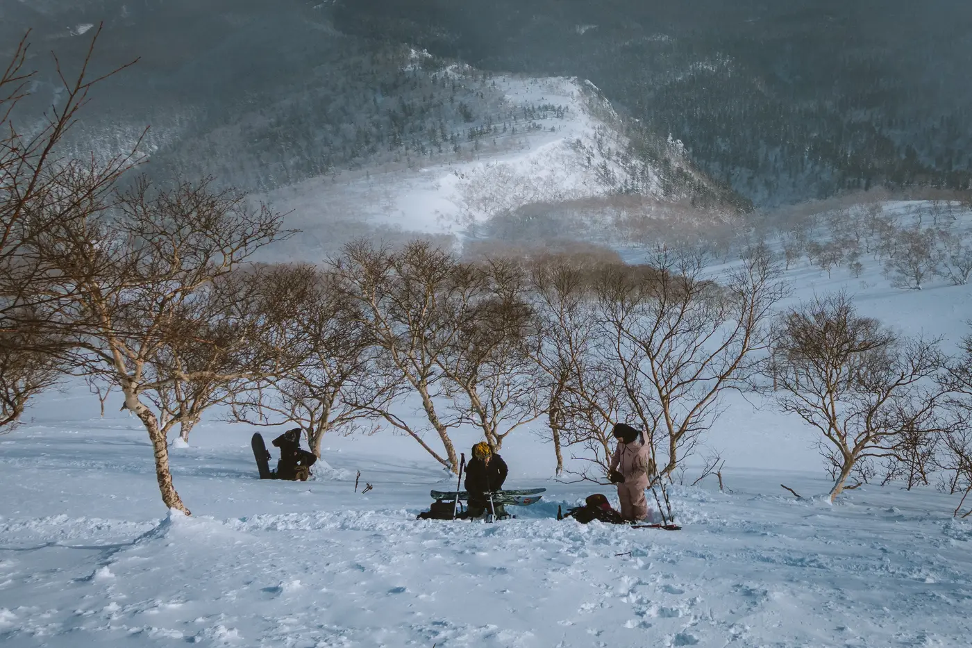 Il gruppo fermo sotto gli alberi spogli, con la valle innevata sotto